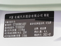 歐拉黑貓 圖片