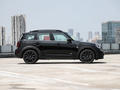 MINI COUNTRYMAN 图片