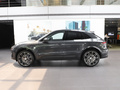 Macan 圖片