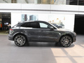 Macan 圖片