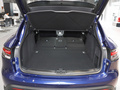 Macan 图片