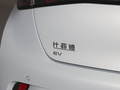 海豚 图片