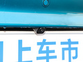 海豚 图片