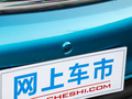 海豚 图片