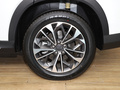 上汽大通MAXUS D60 图片