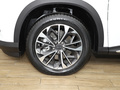 上汽大通MAXUS D60 圖片