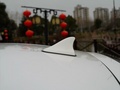 思皓曜 图片
