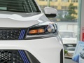 炫界Pro EV 图片