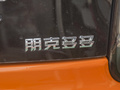 朋克多多 图片