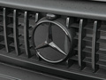 奔驰G级AMG 图片