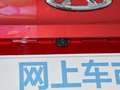 小蚂蚁 图片