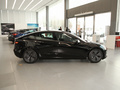 Model 3 图片