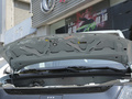 风光MINIEV 图片