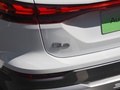 奥迪Q5 e-tron 图片