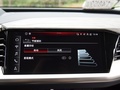 奥迪Q5 e-tron 图片