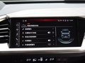奥迪Q5 e-tron 图片