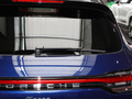 Macan 图片
