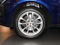 Macan 图片
