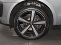 Macan 图片