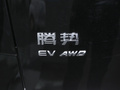 腾势D9 图片