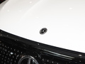 奔驰EQE SUV 图片