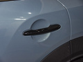 MINI COUNTRYMAN 图片