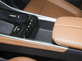 大家5 图片