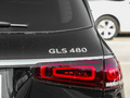 迈巴赫GLS 图片