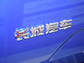 炮商用皮卡 图片
