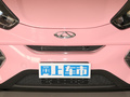 小蚂蚁 图片
