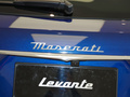 Levante 图片