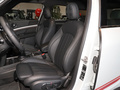 MINI JCW COUNTRYMAN 图片