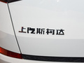 柯迪亚克 图片