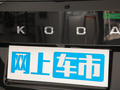 柯迪亚克 图片