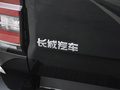 金刚炮 图片