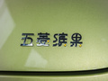 五菱缤果 图片