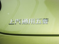 五菱缤果 图片
