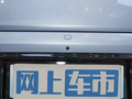 海豹 图片