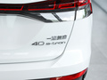 奥迪Q4 e-tron 图片