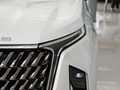 上汽大通MAXUS G90 图片