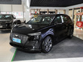 奥迪Q5 e-tron 图片