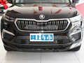 柯迪亚克 图片