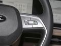 瑞风RF8 PHEV 图片