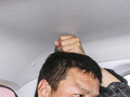 奔腾小马 图片