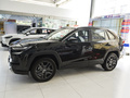 RAV4荣放 图片