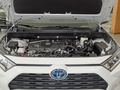RAV4荣放 图片