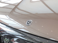 奔驰EQE SUV 图片