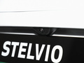 Stelvio斯坦维 图片