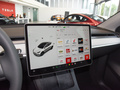 Model Y 图片