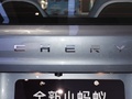 小蚂蚁 图片